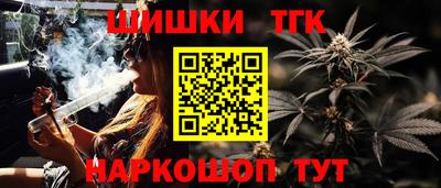 тгк Славгород
