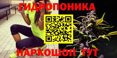 тгк Славгород