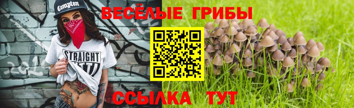 Галлюциногенные грибы ЛСД  Вход с VPN  Скопин 